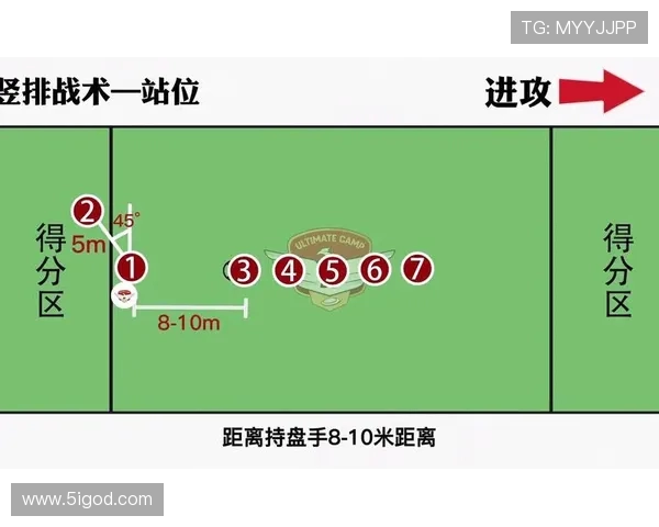 武汉飞盘队的区域防守体系与飞盘战术的深度解析与实践探索